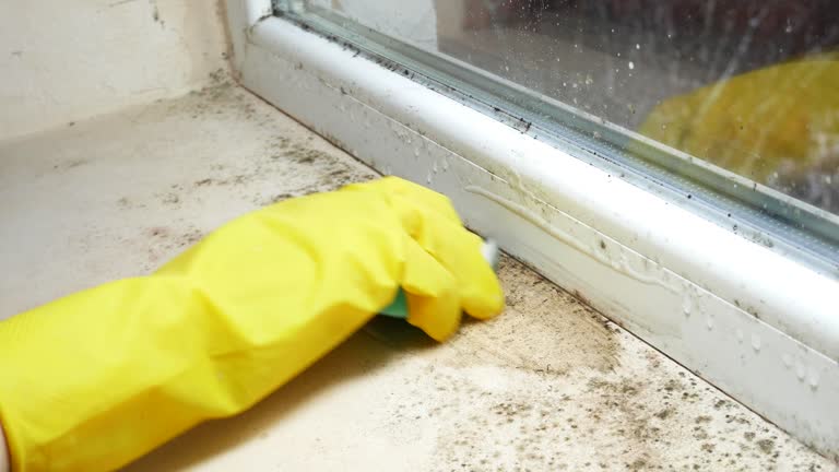 Best Commercial Mold Inspection  in Ralls, TX